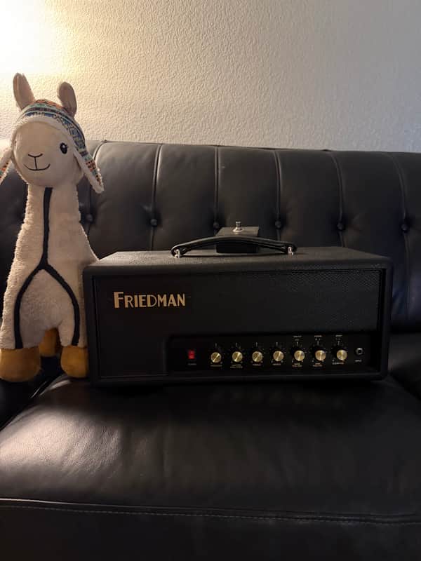 Friedman WW-20 "Wildwood 20" 2-Channel 20-Watt Guitar Amp Head image 1