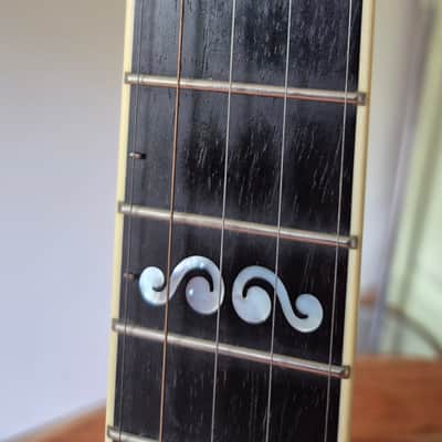 Deering Calico 5-String Banjo 2010s - with hard case, capo spikes, capo image 16