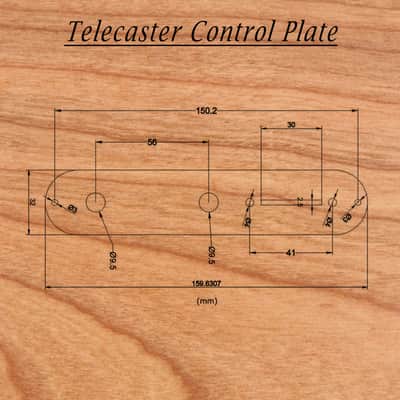 Telecaster Control Plate image 4