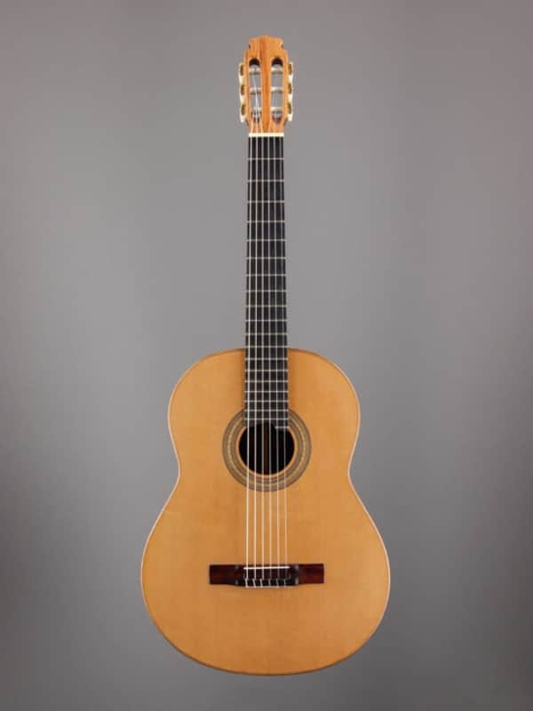 Classical Guitar - Pro Concert Model C600 image 1