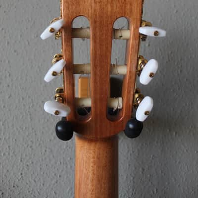 Brand New Cordoba Iberia Series Requinto Nylon String Classical Guitar - B Stock image 10