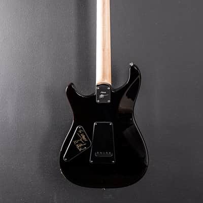 Paul Reed Smith Mark Lettieri Fiore '25 image 4