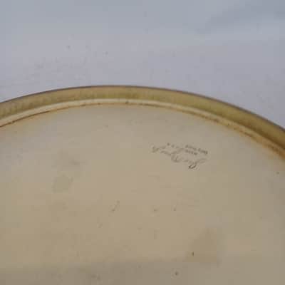 Rogers 15"Daisy Brand White Calf Batter Skin Snare/Tom Drum Head Vintage 50s USA image 6