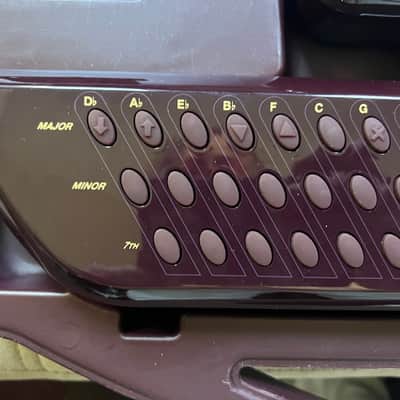 Suzuki QC-1 QChord with case, card, overlay and power supply. image 3