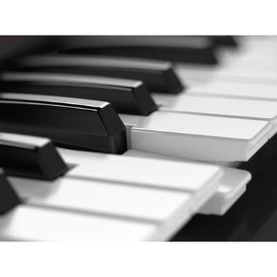Roland Juno-DS 61 image 8