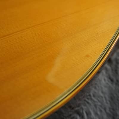 Cat’s Eyes CE-250 MIJ Dreadnought Acoustic Guitar w/ Hard Case image 15