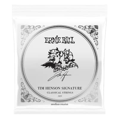 Ernie Ball Tim Henson Signature Accessory Package w/Strings, Cable and Fretwrap image 6