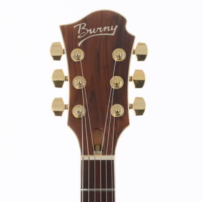Burny MG-85X Hide Model Cherry Sunburst (06/22) image 10
