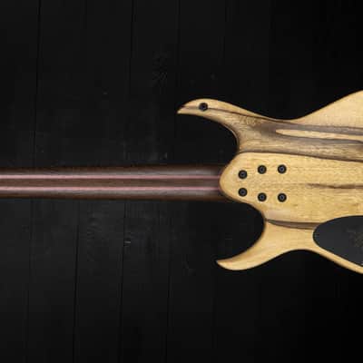 Mayones Hydra 7 Elite VF Custom Eye Poplar - Trans Black Raw image 18