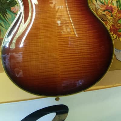 1954 D'Angelico Excel Wine Burst...Dreams Do Come True! image 2
