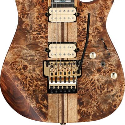 Ibanez RGT1220PB-ABS Premium RGT Electric Guitar 6-String - Antique Brown Stained + Gig Bag image 7