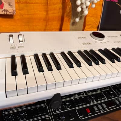Arturia AstroLab 61-Key Stage Keyboard 2024 - Present - White image 3