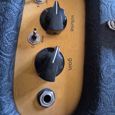 Bogner Brixton Combo mit Weber Speaker image 10