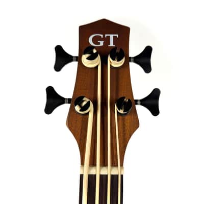Used Gold Tone Micro Bass 25 image 3
