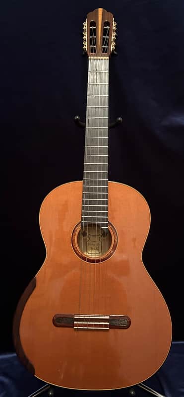 Yulong Guo Ziricote Concert 2016 #14 image 1