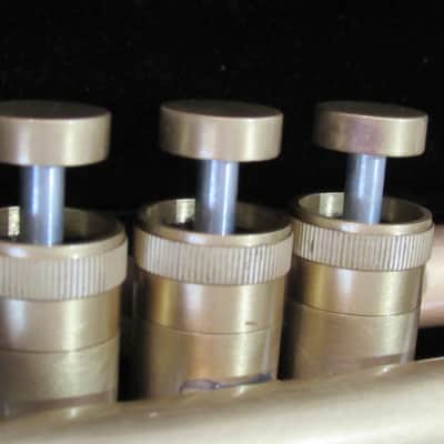 Taylor Trumpet Chicago Standard II image 15