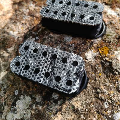 Besson Custom pickups Singularity 6 2026 image 2
