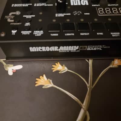 BASTL Instruments MicroGranny 2 Monophonic Granular Sampler image 2