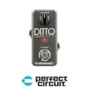 TC Electronic Ditto Looper Pedal