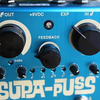 WAY HUGE WHE707 Supa-Puss Analog Delay image 3