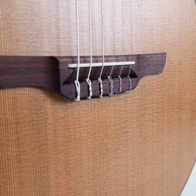 Takamine P3FCN Pro Series 3 FCN Cutaway Classical Nylon-String (2012) w/ OHSC image 7