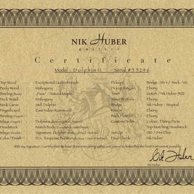 Nik Huber Dolphin II Hand-selected 5A Top-Turquoise Burst image 25