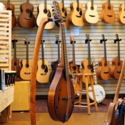 Northfield NFO-AT3 Wavelength Short-Scale Archtop Octave Mandolin Ox Amber w/Padded Gig Bag image 5