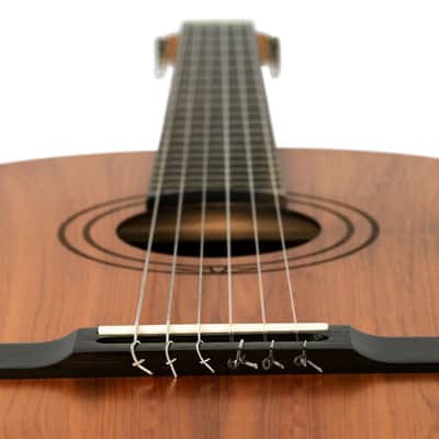 Ortega R16PC Traditional Series Solid Cedar Top Beechwood Neck Nylon 4/4 Size 6-String Classical Acoustic Guitar image 11