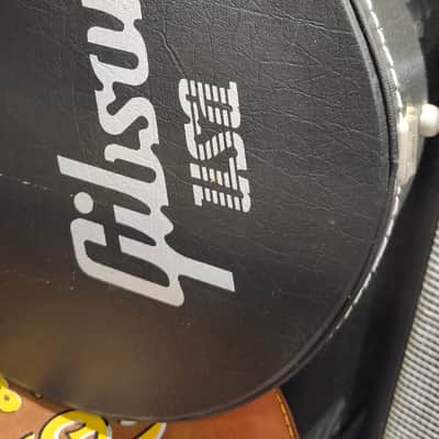 Gibson Les Paul Standard Appetite For Destruction Limited Edition 2010 - AFD image 24