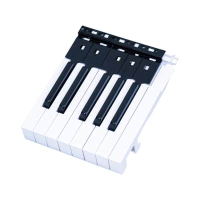 Korg 13-Note Key Assembly with High-C Key for LP-180, SP-170, SP-170S, SP-280 image 4
