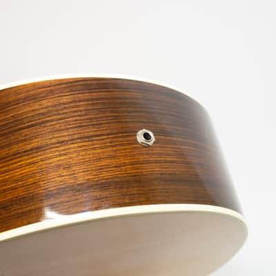 Washburn Tanglewood - Natural Rose Wood image 13