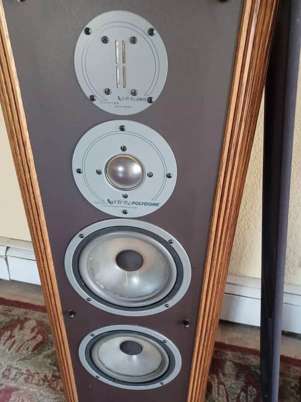 Infinity RS4B - oak | Reverb