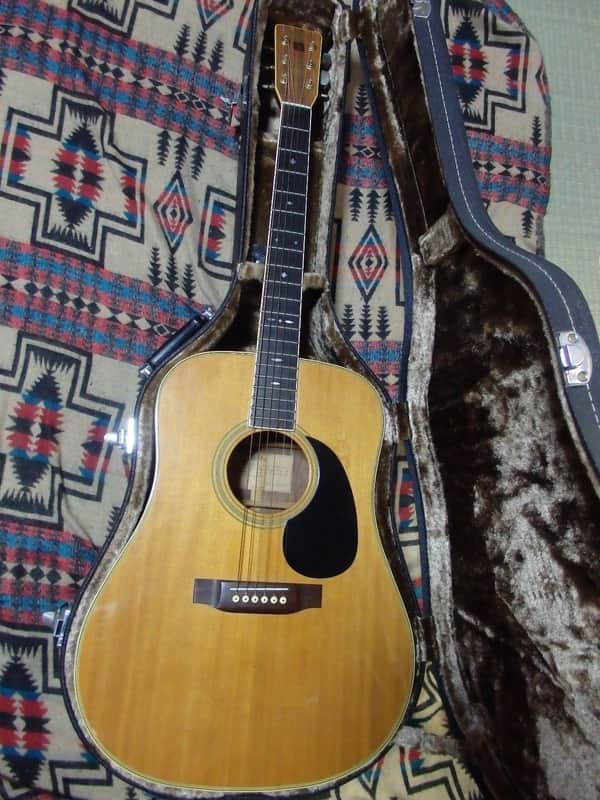 Tokai Cat's Eyes CE-500 Acoustic Guitar Phenomenal Tone with Hard