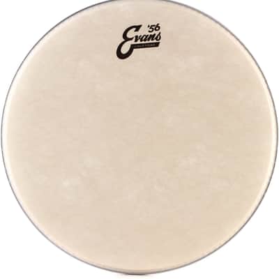 Evans EQ Pad Bass Drum Muffler Bundle with Evans Calftone Drumhead - 14 inch image 3