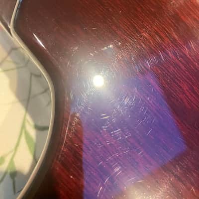 PRS SC 250 2007 - Tortoise Shell image 13