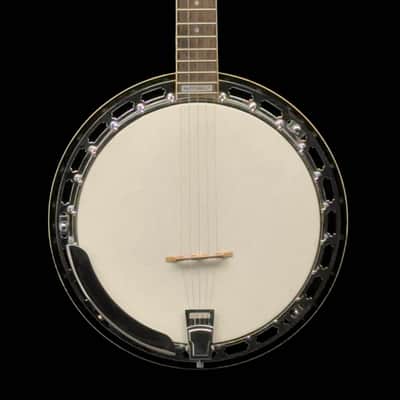 Epiphone MB-100 5 String Resonator Banjo, Hard Case image 3