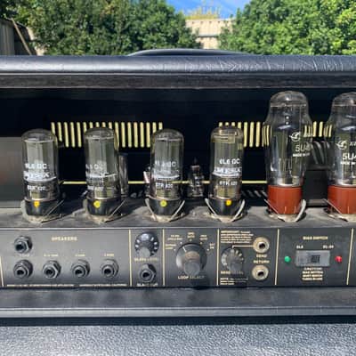 Mesa Boogie Dual Rectifier 1992 Amp Head image 13