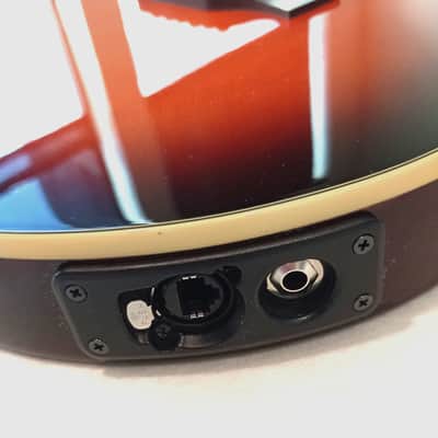Line 6 Variax 700 Acoustic image 5