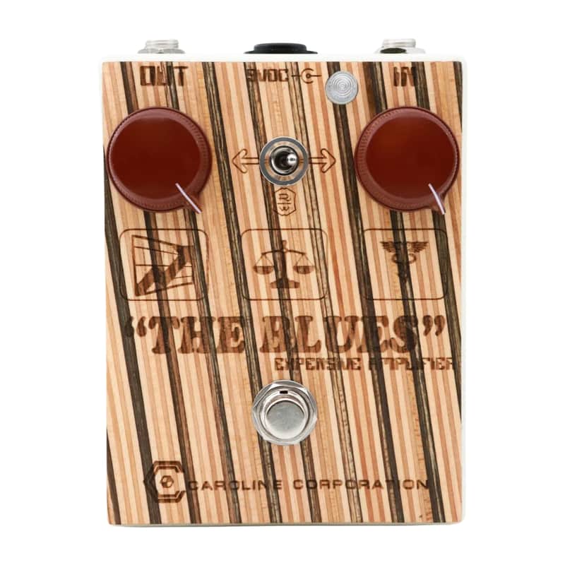 Caroline Guitar Company The Blues Expensive Amplifier image 2