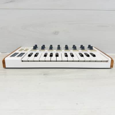 Arturia MiniLab MKII 25-Key MIDI Controller – Compact Studio Powerhouse image 5