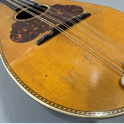 Washburn Bowl-Back Mandolin with Original Case, 1890s image 7