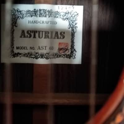 Asturias AST 60 1986 image 8