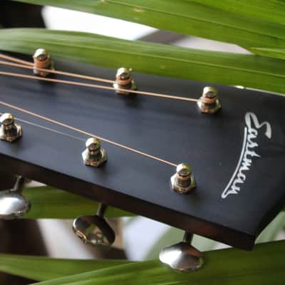 EASTMAN E6-LGSS Sunburst, HARDCASE image 7
