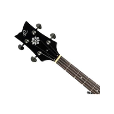 Ortega Guitars OBJ250-SBK Raven Series 5-String Banjo - Black - Open Box image 4