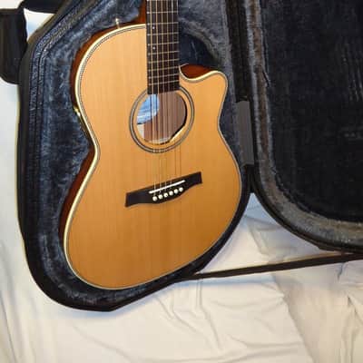Seagull Artist Mosaic CW Folk Deluxe QII Acoustic/Electric Guitar w/ Dlx TRIC Case image 2