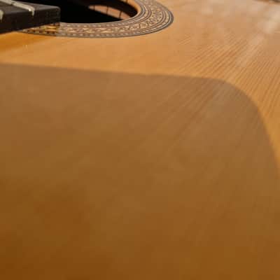 Martin Fleeson Classical guitar 1980 image 4