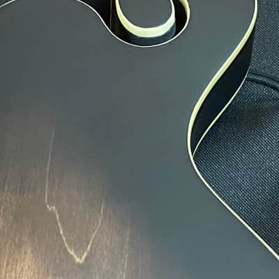 Gold Tone Manditar Mandolin F6  Satin Fast Shipping Acoustic/ Electric image 4