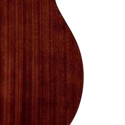 Gold Tone TG-10: Tenor Guitar with Gig Bag image 18