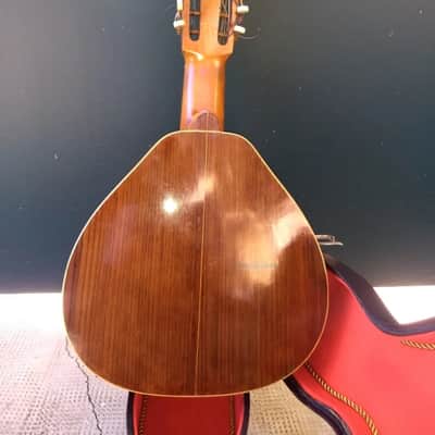 Bandurria Telesforo Julve Superior 1931 image 5
