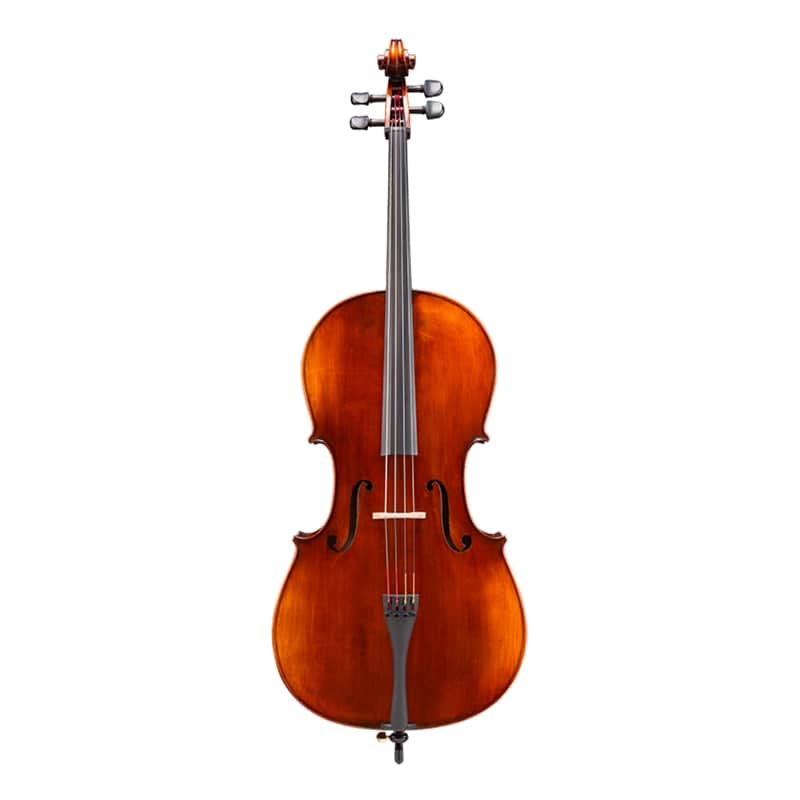 Eastman VC305 Andreas Eastman Step Up Cello - Outfit 4/4